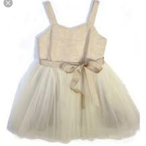 NWOT Dagmar Daley Jubilee Dress